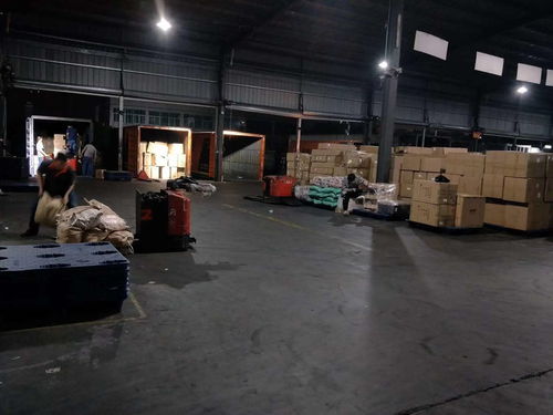 河南焦作至東莞物流專線 高效時效與貼心禮儀服務(wù)